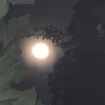 Profile picture of Tuimelaar